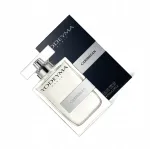 Parf&uuml;meeritud vesi Yodeyma Platinum 100 ml ferna
