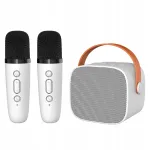 Kaasaskantav juhtmevaba Bluetooth-k&otilde;lar karaokekomplekti ja 2 mikrofoniga