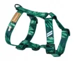 Koerte rakmed Lauren Harness Guard, roheline, XL