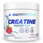 ALLNUTRITION MUSCLE MAX kreatiin 250 g vaarikamaitseline