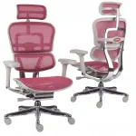 Ergonoomiline kontoritool Ergohuman 2 Elite, v&otilde;rkriidest, roosa
