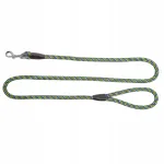 Koera jalutusrihm Dingo Magic, k&ouml;is, 1,7 m x 12 mm
