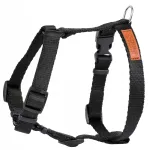 Reguleeritavad mustad koera rihmad DINO S