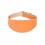 Koera kaelarihm Charta DINGO Classic XS, 28 cm, naturaalne