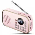 Kaasaskantav retro Bluetooth k&otilde;lar FM raadioga, USB, SD, AUX, laetav