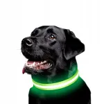 LED-valgustusega koera kaelarihm, 36-52 cm, roheline, USB, M, PREMIUM