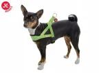 Koera rakmed JK Animals Comfort, rohelised, rindkere &uuml;mberm&otilde;&otilde;t 38&ndash;48 cm, suurus S
