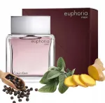 Meeste tualettvesi CALVIN KLEIN EUPHORIA MEN 100 ml