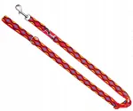 Koera jalutusrihm DINGO Winnetou Extended, 2,5 x 120-220 cm, punane