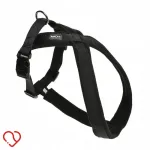 Koerte rakmed AniOne X Classic, mustad, suurus S