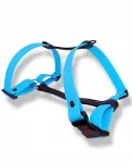 Veekindel koera rakmed PVC BIOTHANE, suurus S