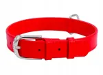 WAUDOG nahast koera kaelarihm, 15 mm, 27&ndash;36 cm