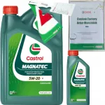 CASTROL MAGNATEC 5W20 E mootori&otilde;li, 5 l, vastab FORD WSS-M2C948-B + riputuskonks