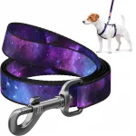 Koerarihm WAUDOG, nailonist, &bdquo;NASA21&ldquo; mustriga, M suurus, 20 mm, 122 cm