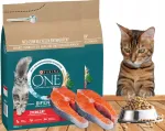 Kuiv toit steriilsetele kassidele PURINA ONE Sterilcat l&otilde;hega, 2 x 750 g