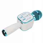 Juhtmevaba mikrofon DS813 Bluetoothi ja kaja efektidega