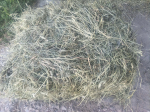 HAY toit j&auml;nestele ja n&auml;rilistele, 5 kg