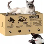 M&auml;rg kassitoit FELIX Fantastic Doppelt Lecker, 60 x 85 g, Saksamaa