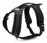 Koerte rakmed Record Action Alpi, mustad, suurus XS