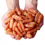 Koerte maiused Hau&Miau pehmed s&uuml;damed kanaga, 500 g