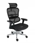 Kontoritool Ergohuman 2 Basic, mustast v&otilde;rkkangast, ergonoomiline, p&ouml;&ouml;rleva mehhanismiga