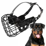 Koerakobras K9 DINGO GEAR, rottweilerile, &uuml;mberm&otilde;&otilde;t 41 cm
