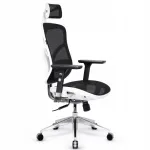 Ergonoomiline tool Diablo Chairs V-Basic, valge ja must