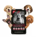 Koeratoit ALPHA SPIRIT PUPPIES, 200 g, noortele kutsikatele