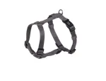Koera valjad Nobby Classic Guard, XS/S, 10 mm, 20&ndash;35 cm, hallid