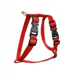 Koera valjad Chaba, reguleeritavad, 10 mm, 35 cm, punased