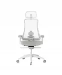 Kontoritool Flexispot, ergonoomiline, 4D reguleerimisega, hall-must
