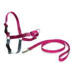 PetSafe Easy Walk roosad koera rakmed M suuruses, koos rihmaga