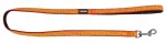 Peegeldav jalutusrihm koertele, 100 cm x 15 mm, Kerbl