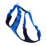 Koerarihmad pehme voodriga, XXL, 70&ndash;80 cm, sinised