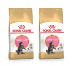 Kasside toit ROYAL CANIN Maine Coon kutsikatele, 8 kg