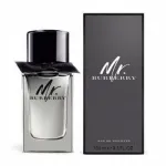BURBERRY MR. BURBERRY 100 ml tualettvesi