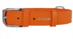 Oranž WAUDOG nahast koera kaelarihm, 35 mm, 46&ndash;60 cm