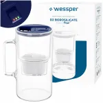 Klaasist kann Wessper D2 BOROSILICATE 3 l tumesinine koos filtriga