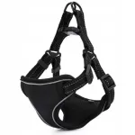 Koera rakmed ilma surveeta, 42&ndash;60 cm, suurus M