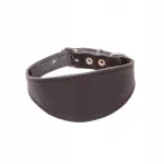 Charta DINGO Classic XS must koera kaelarihm, 28 cm