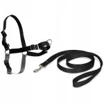 Koera rihmarihmad koos rihmaga PetSafe Easy Walk, mustad, M/L suurus