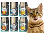 SHEBA kassitoidu komplekt, erinevad maitsed, 50 g x 36 tk