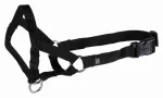 Trixie Top Trainer koeratreeningu rakmed, L, 31 cm
