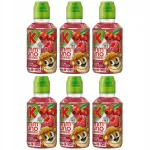 Kubuś Immuno puuviljawinter lapsele pihlaka ja vaarikatega, 6 x 200 ml