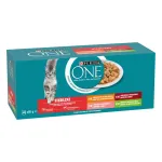 PURINA ONE STERILCAT m&auml;rg toit steriliseeritud kassidele, erinevad maitsed, 40x85 g