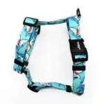 Guard Shark Psiakrew koera rakmed, suurus M/L