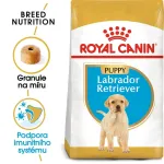 Kuivkoeratoit ROYAL CANIN BHN Labrador Retriever noortele kutsikatele, 3 kg