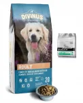 DIVINUS ADULT DOG koeratoit labradoritele ja saksa lambakoertele, 20 kg