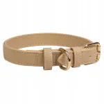 V&auml;ikese koera kaelarihm GOLDEN BUCKLE, erinevates v&auml;rvides, 35 cm, S suurus
