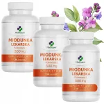 Lung Honey 500 mg kopsudele, kurguvalu ja k&ouml;ha vastu